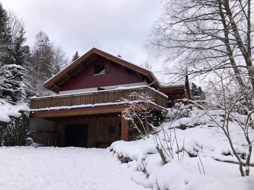 Les Cimes Blanches Cledicihome Chalet 10 Pers Spa & Grand Terrain 4 Minutes Des Pistes La Bresse Luaran gambar